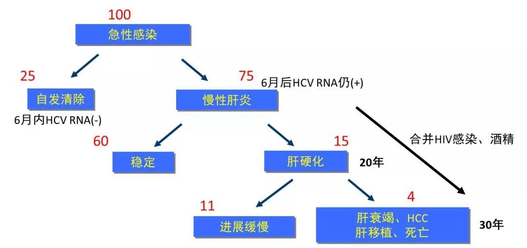 丙肝檢測(cè)的弱陽(yáng)性究竟是不是感染了丙肝？