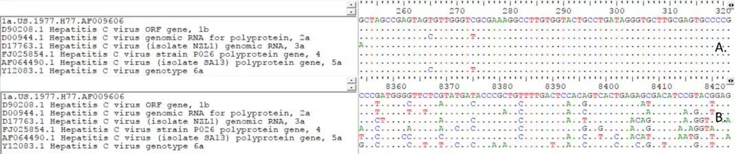A.5’端非編碼區(qū)序列；B.NS5序列