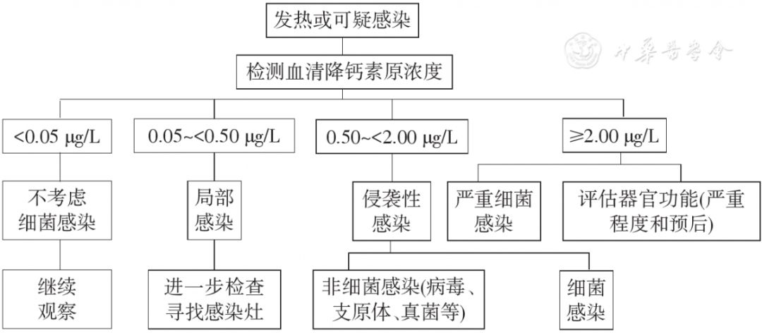 血清降鈣素原檢測用于感染相關(guān)疾病鑒別診斷程序圖